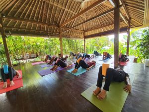 Yoga Experience And Wellness Workshop At Nataraja Bali Yoga, 50% OFF